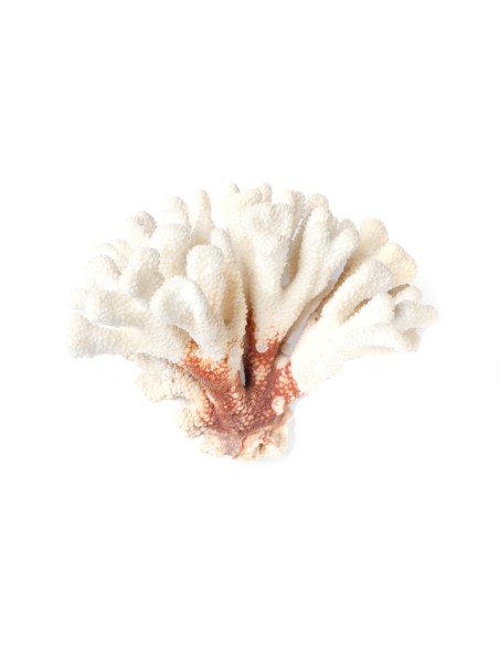 MARINE CELL. BRIGHT & CLEAR CREMA DESPIGMENTANTE