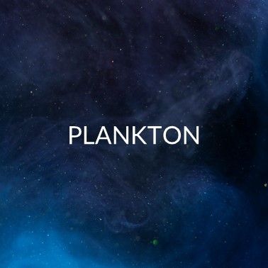 PLANKTON