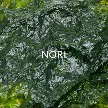 NORI