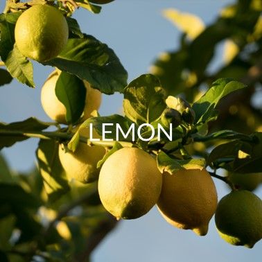 LEMON