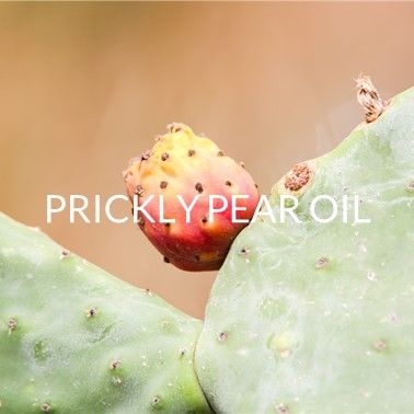 PRICKLY PEAR