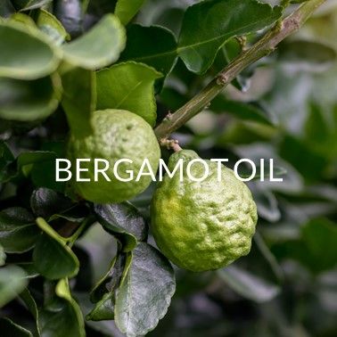 BERGAMOT