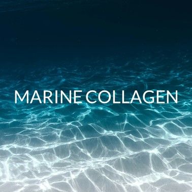 COLLAGEN
