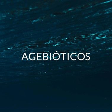 AGTEB