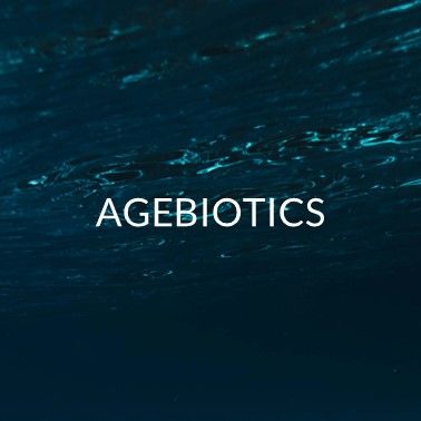 AGTEB