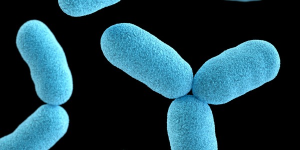 La microbiota cutánea: el aliado invisible que tu piel necesita (y cómo Sphingomonas Ferment ayuda a protegerla)