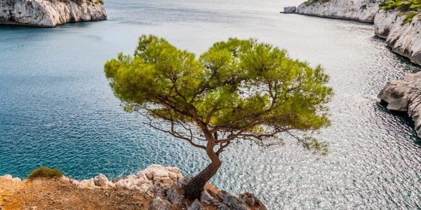 Los 10 mejores ingredientes mediterráneos para una piel joven y luminosa